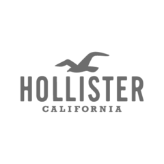 Hollister 