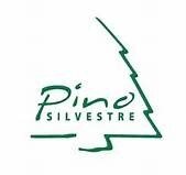 Pino-Silvestre