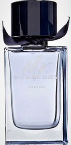 Burberry Mr. Burberry Indigo Eau de toilette 100 ml