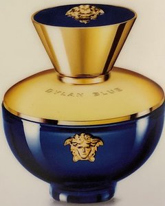 Versace Pour Femme Dylan Blue eau de parfum spray 100 ml