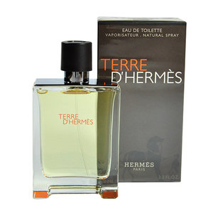 Hermes Terre D'Hermes eau de toilette 100 ml